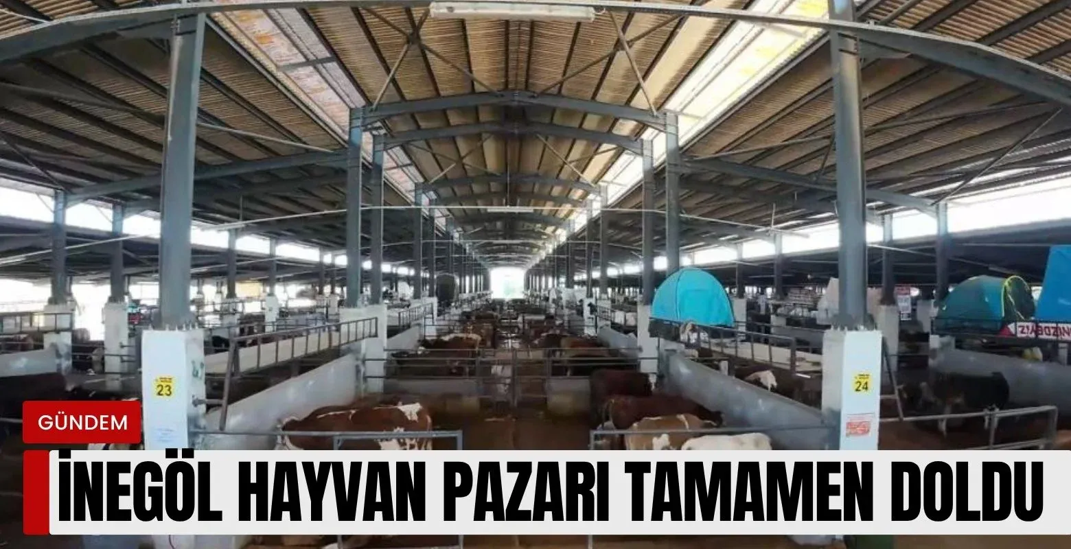 İnegöl hayvan pazarı tamamen doldu