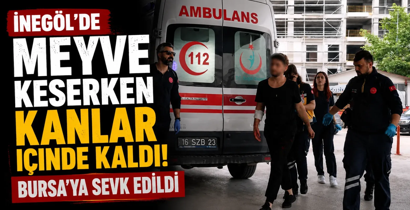 İnegöl'de meyve keserken kanlar içinde kaldı! Bursa'ya sevk edildi