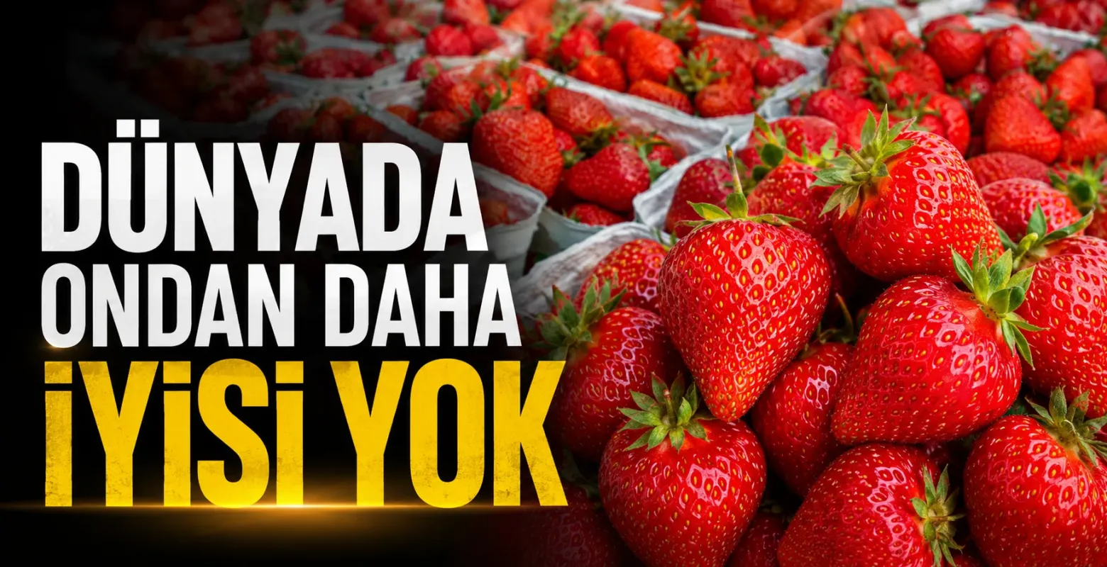 Türkiye’nin Çilek İhracatında Büyük Sıçrama: Değeri Katlandı