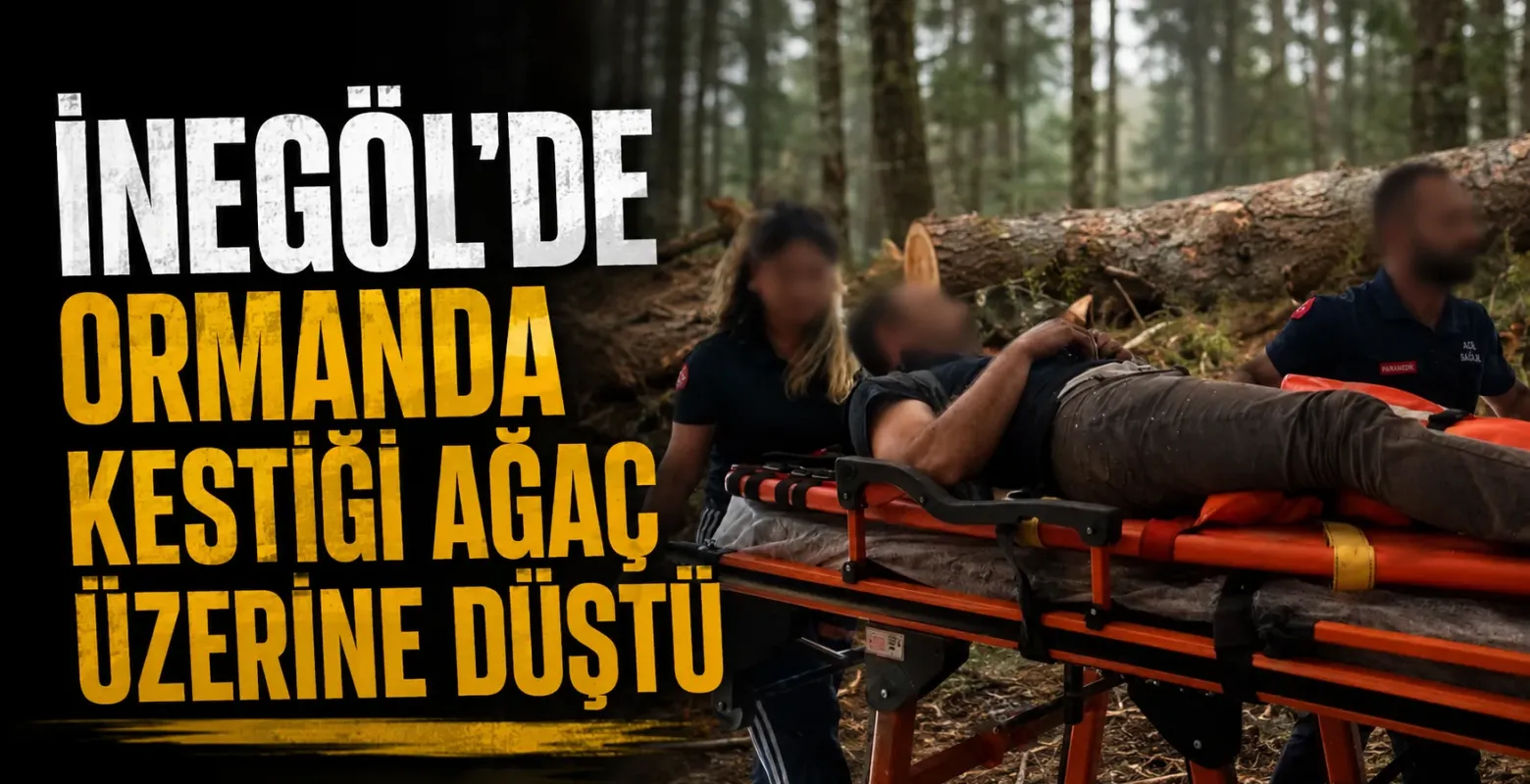Ormanda kestiği ağaç üzerine düştü
