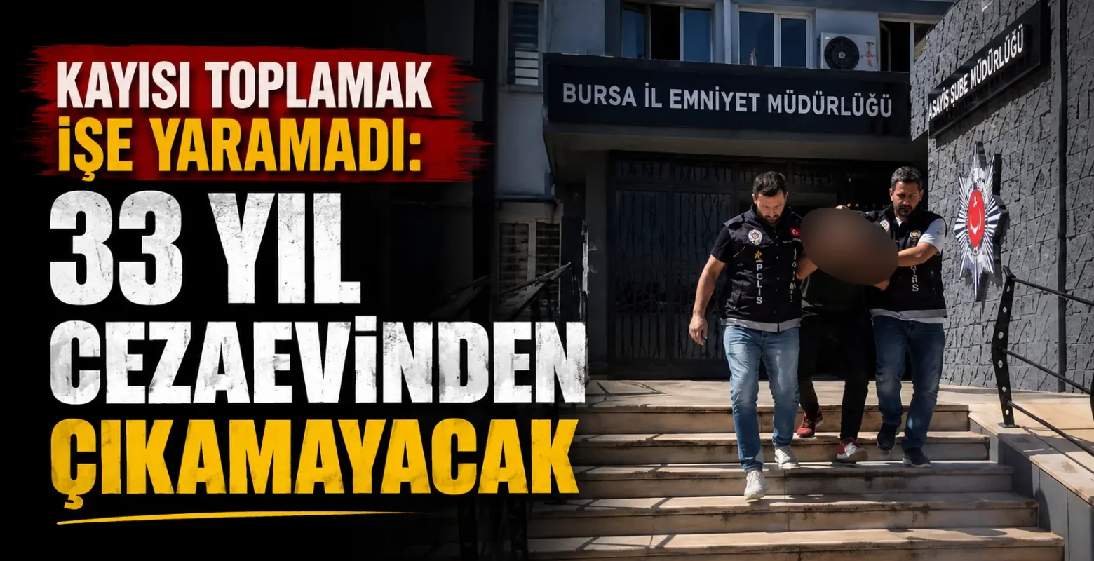 Kayısı toplamak işe yaramadı: 33 yıl cezaevinden çıkamayacak