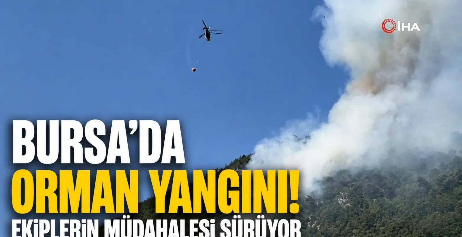 Bursa'da orman yangını! Ekiplerin müdahalesi sürüyor