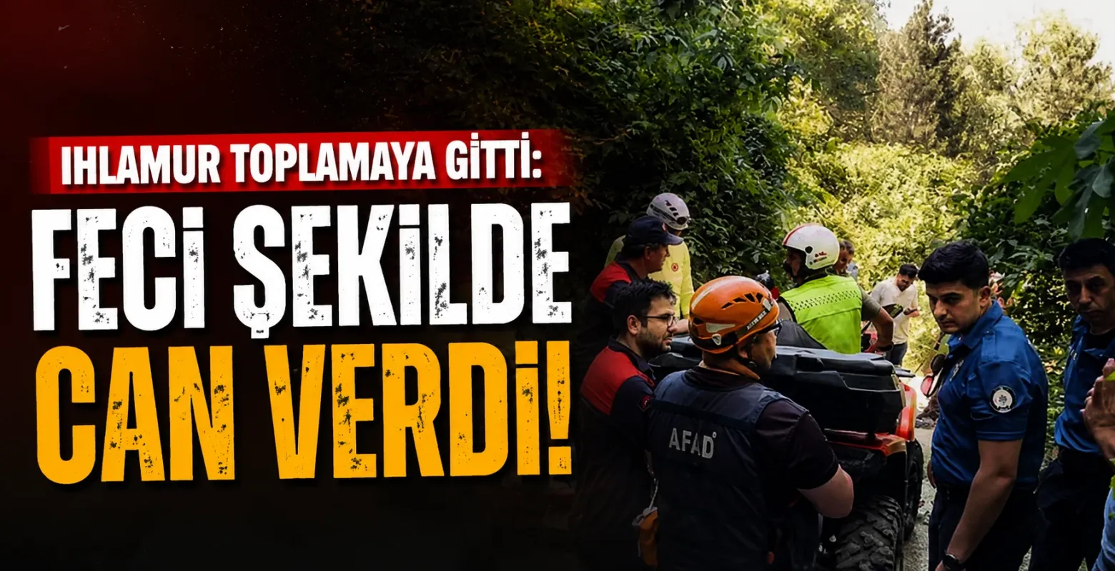 Ihlamur toplamaya gitti: Feci şekilde can verdi!
