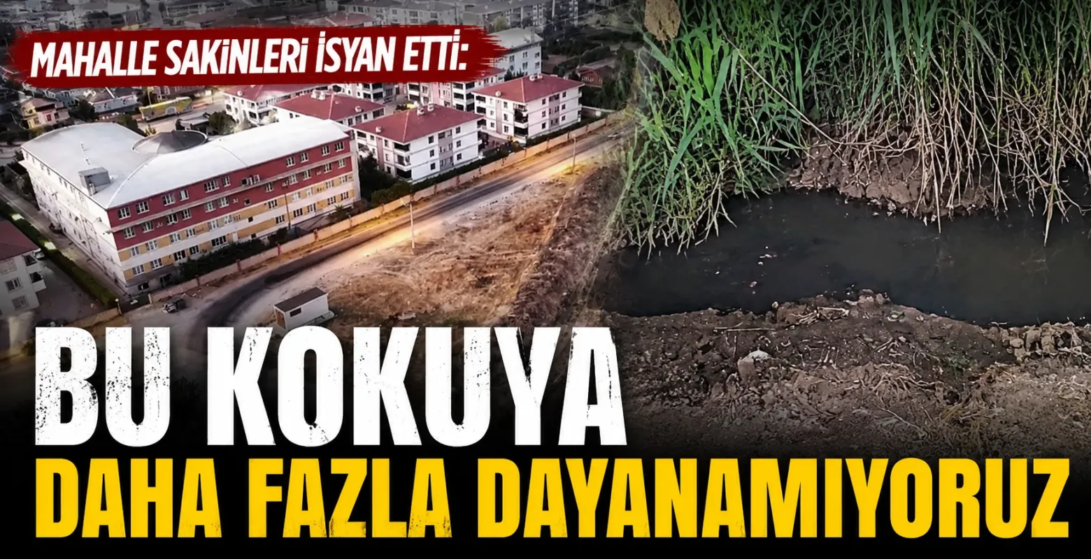 Mahalle Sakinleri İsyan Etti: Bu Kokuya Daha Fazla Dayanamıyoruz
