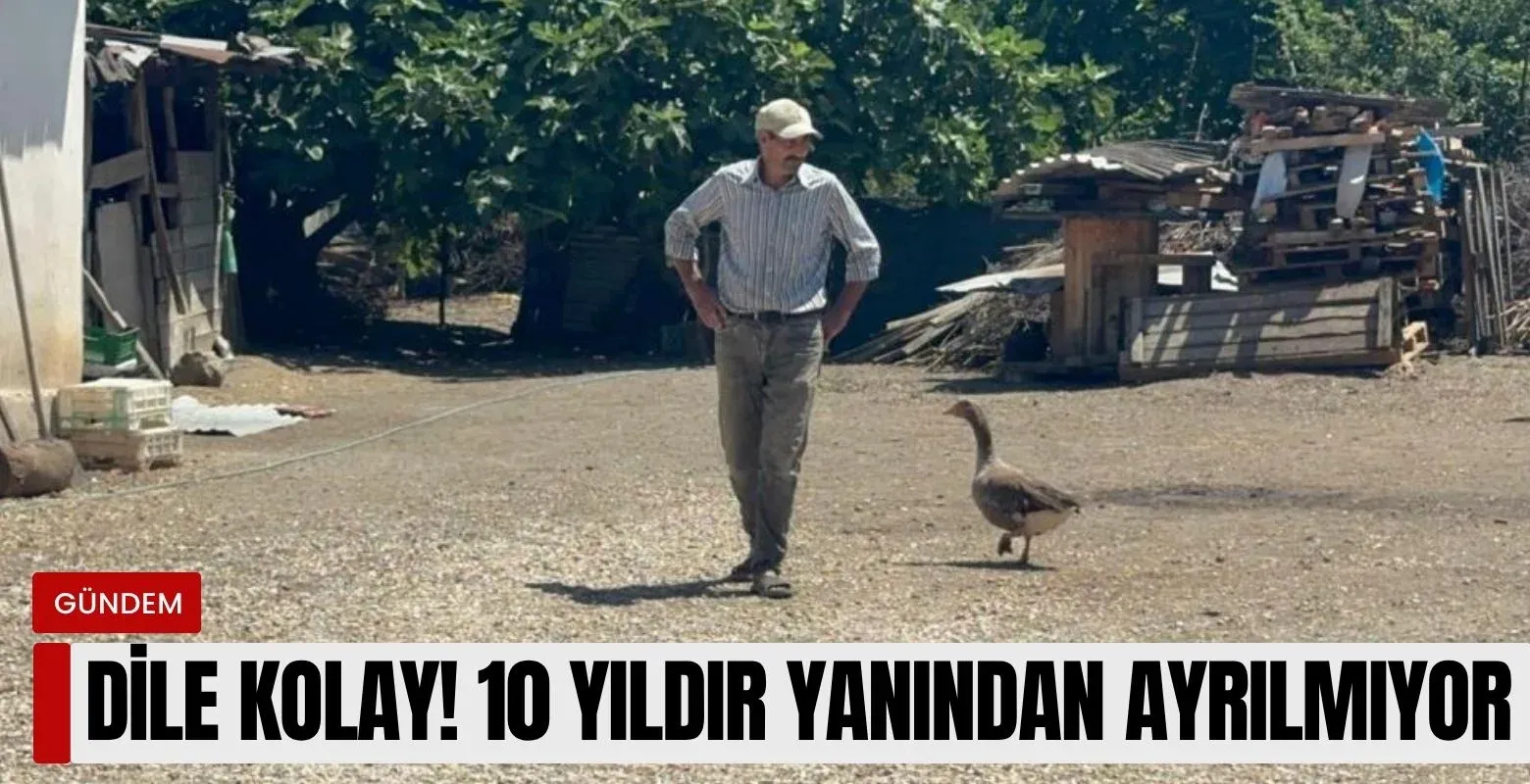 Ölmek üzereyken kurtardı! 10 yıldır yanından ayrılmıyor