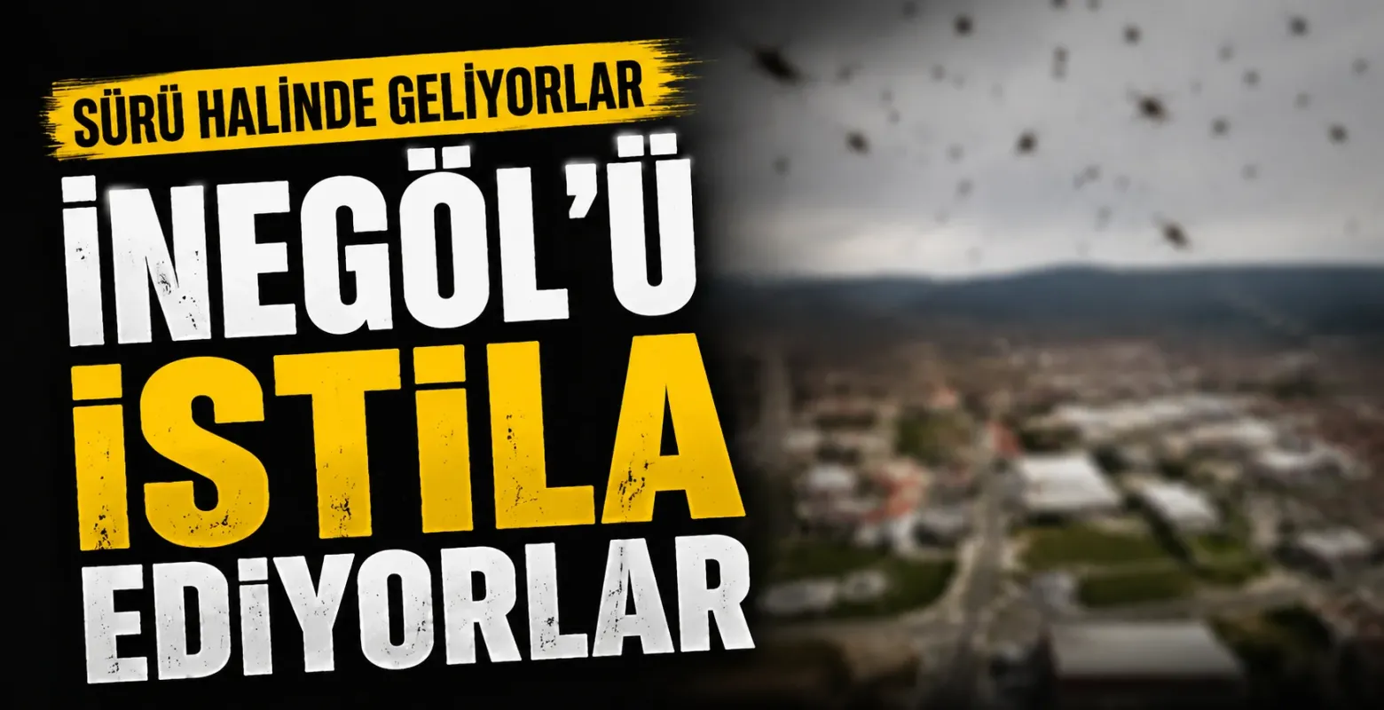 Sürü Halinde Geliyorlar Dev çekirgeler İnegöl'ü istila etti