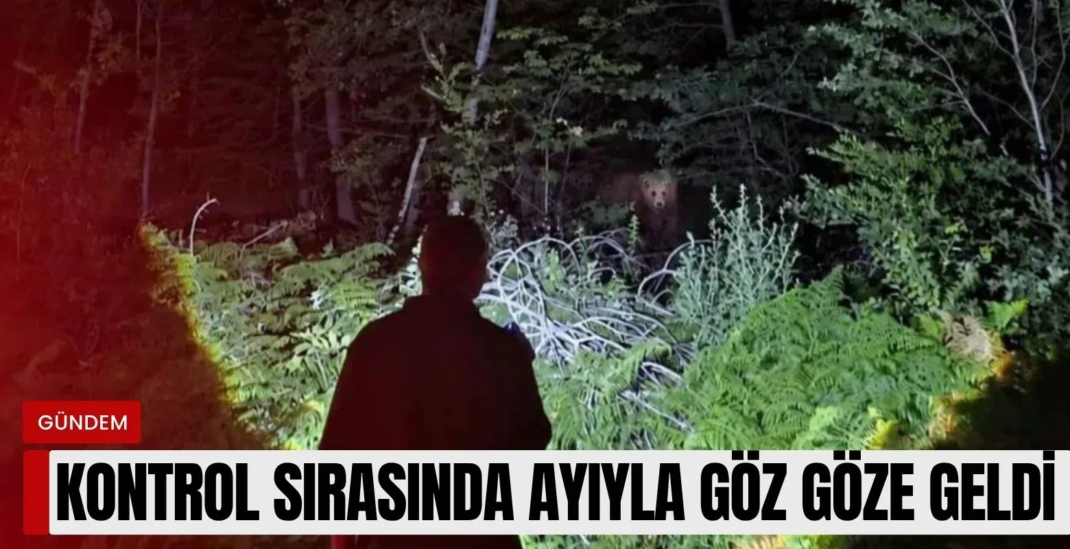 Kontrol sırasında ayıyla göz göze geldi