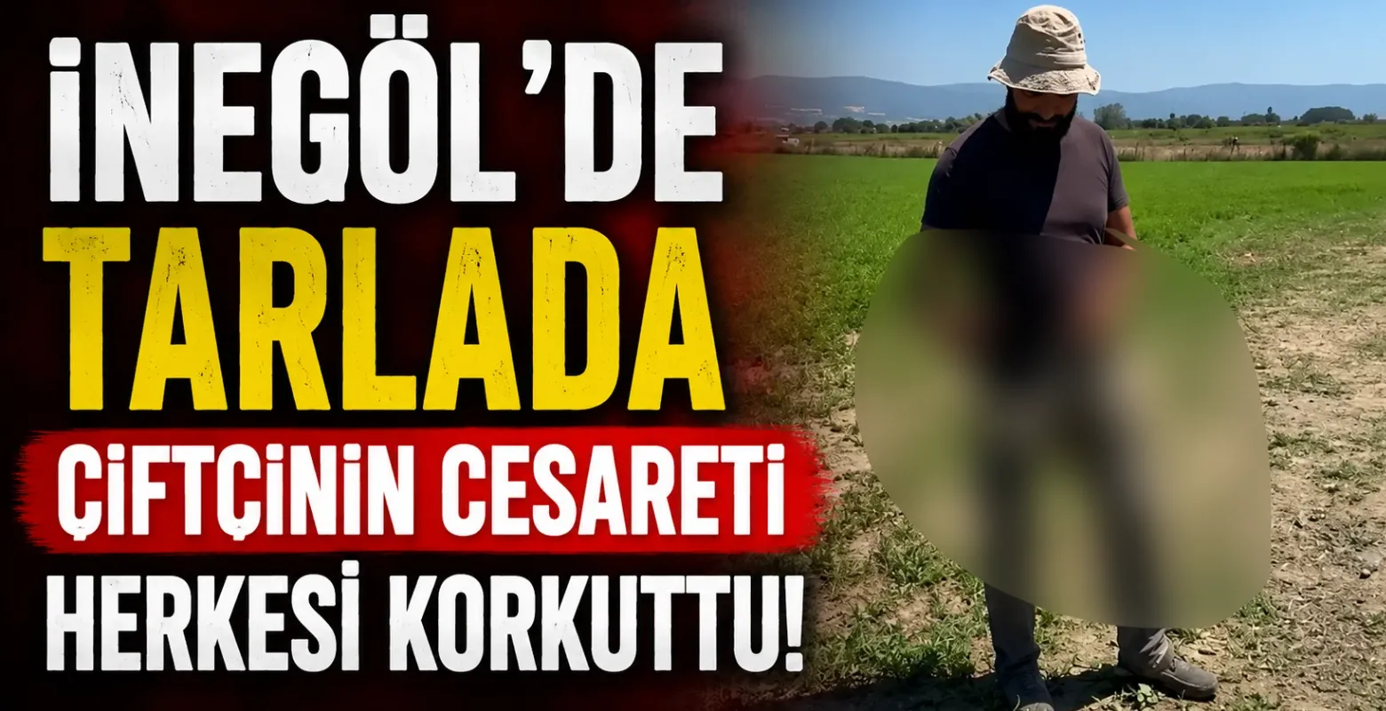 İnegöl'de tarlada çiftçinin cesareti herkesi korkuttu!