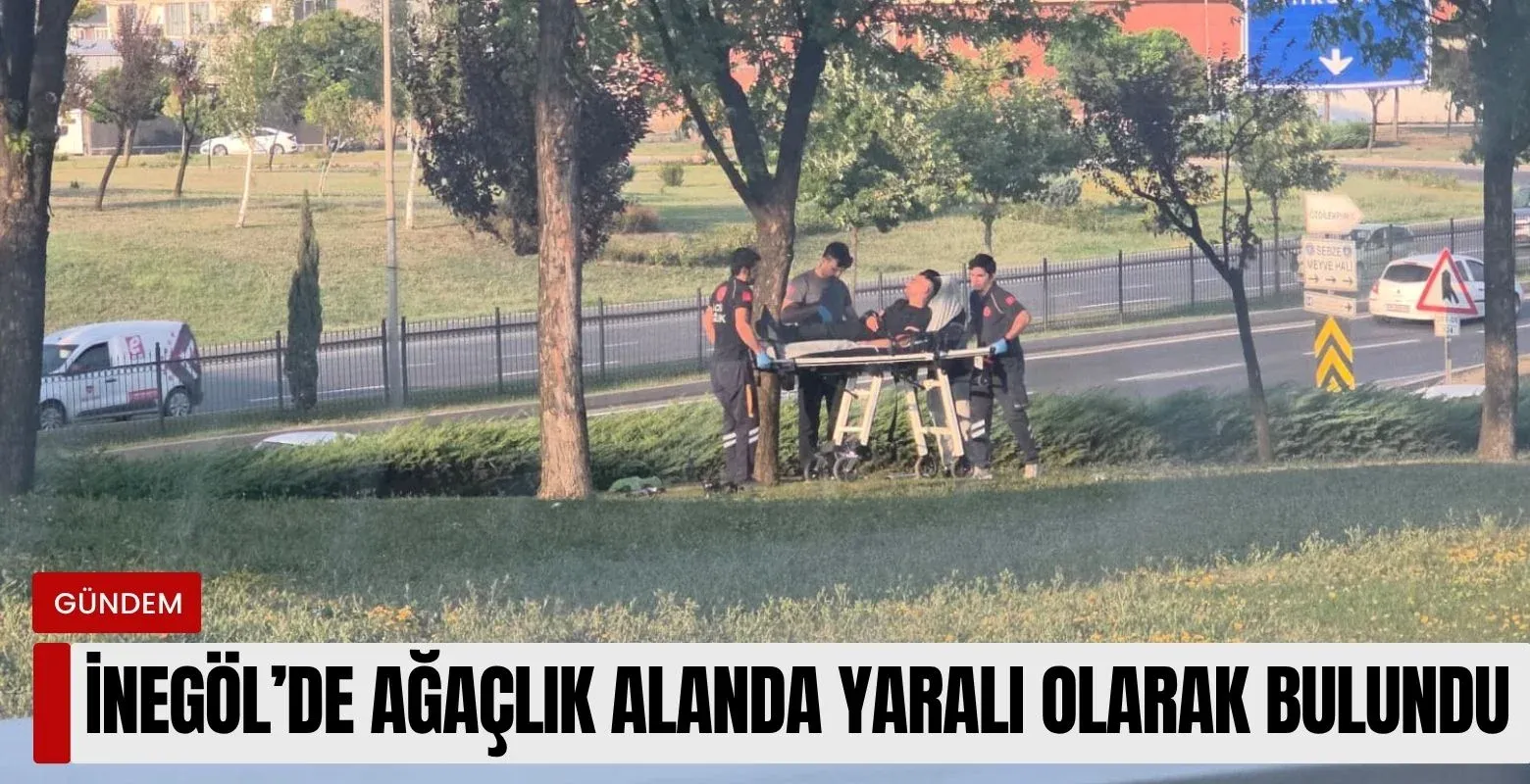 İnegöl'de ağaçlık alanda yaralı olarak bulundu!