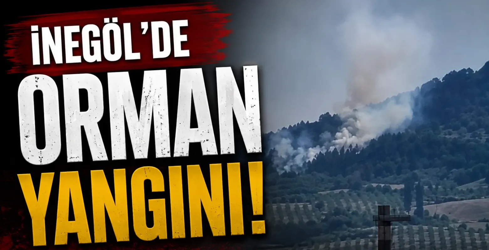 İnegöl’de Orman Yangını Büyüdü! Helikopterler Devreye Girdi