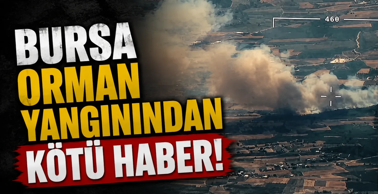 Bursa orman yangınından kötü haber!