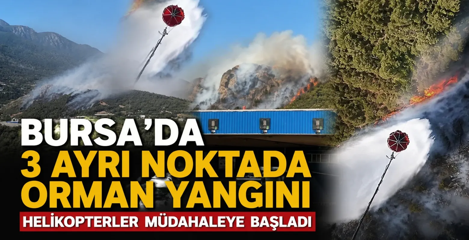 Bursa Kestel'de Uludağ eteklerinde üç ayrı noktada orman yangını