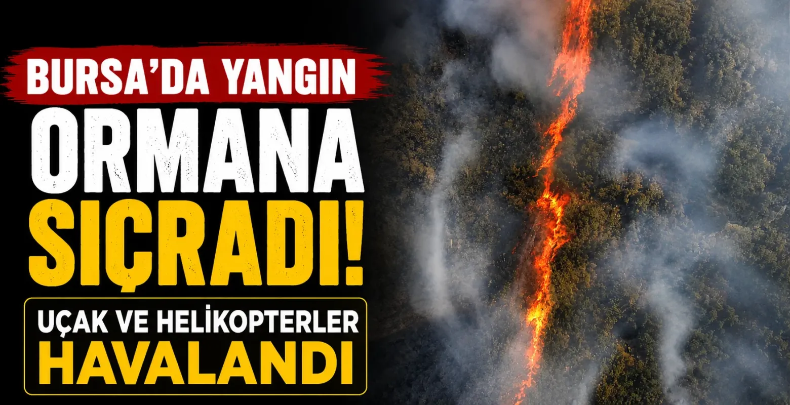 Bursa’da yangın ormana sıçradı! Uçak ve helikopterler havalandı