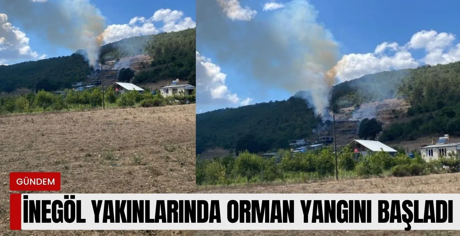 İnegöl yakınlarında orman yangını başladı!