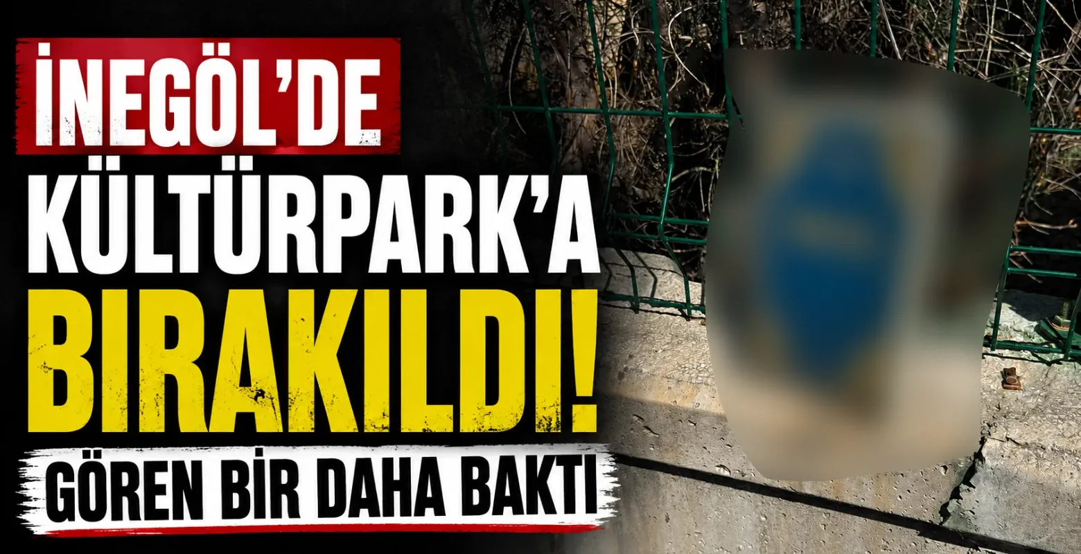 İnegöl'de Kültürpark'ta görüldü! Gören bir daha baktı