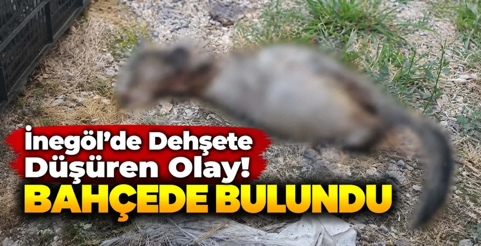 İnegöl’de Dehşete Düşüren Olay! Bahçede Bulundu