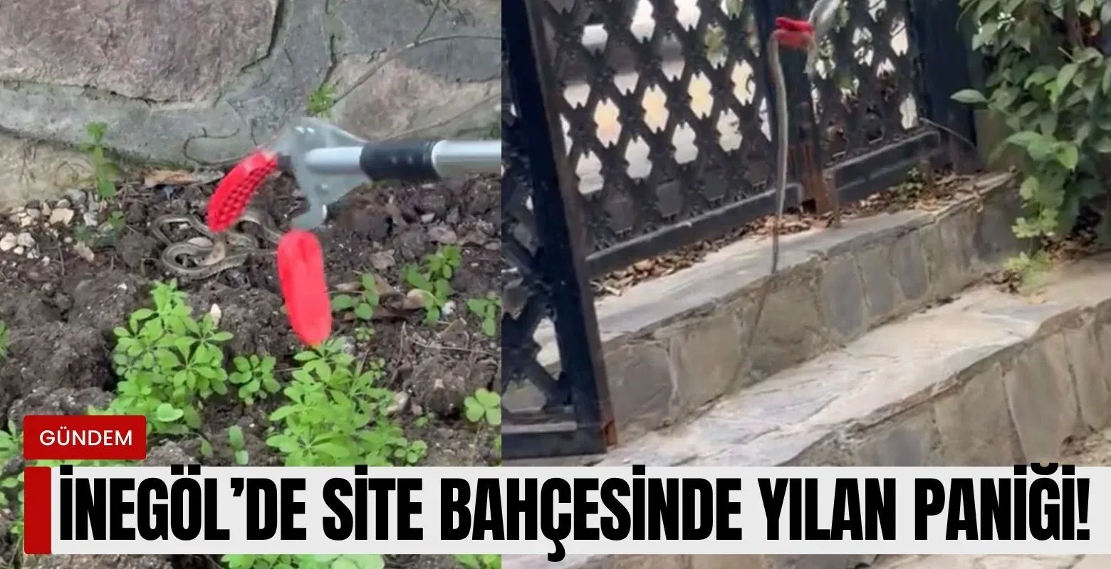 İnegöl'de site bahçesinde yılan paniği yaşandı