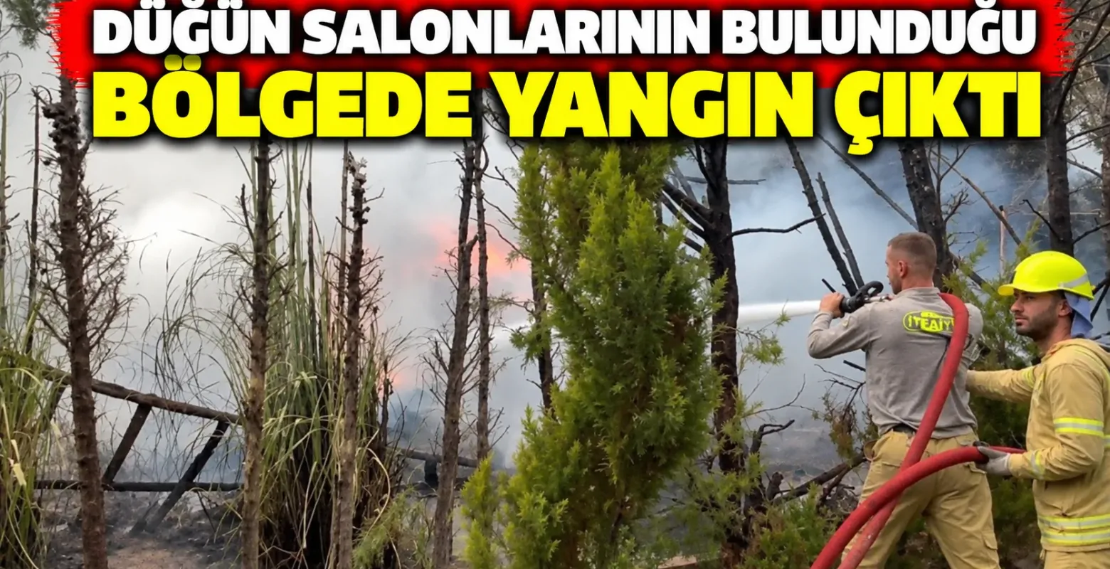Düğün salonlarının bulunduğu bölgede yangın çıktı