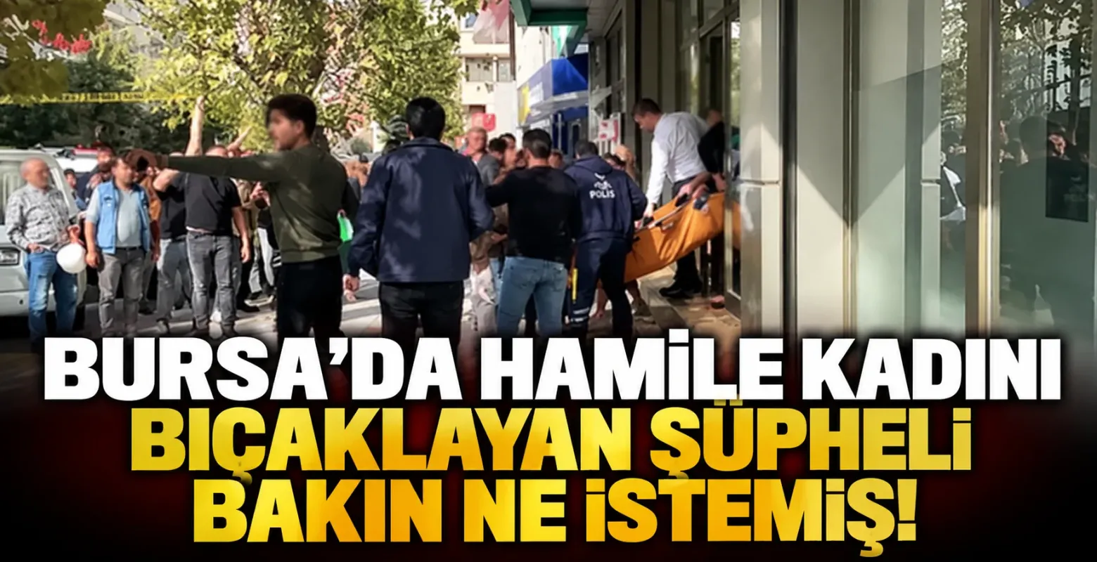 Bursa'da Hamile Kadını Bıçaklayan Şüpheli Bakın Ne İstemiş!