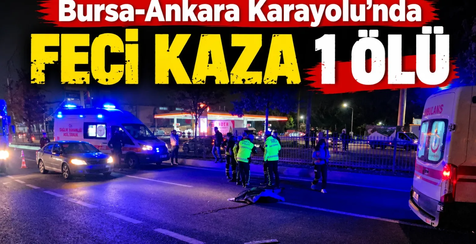 Bursa-Ankara Karayolu'nda otomobilin çarptığı yaya hayatını kaybetti
