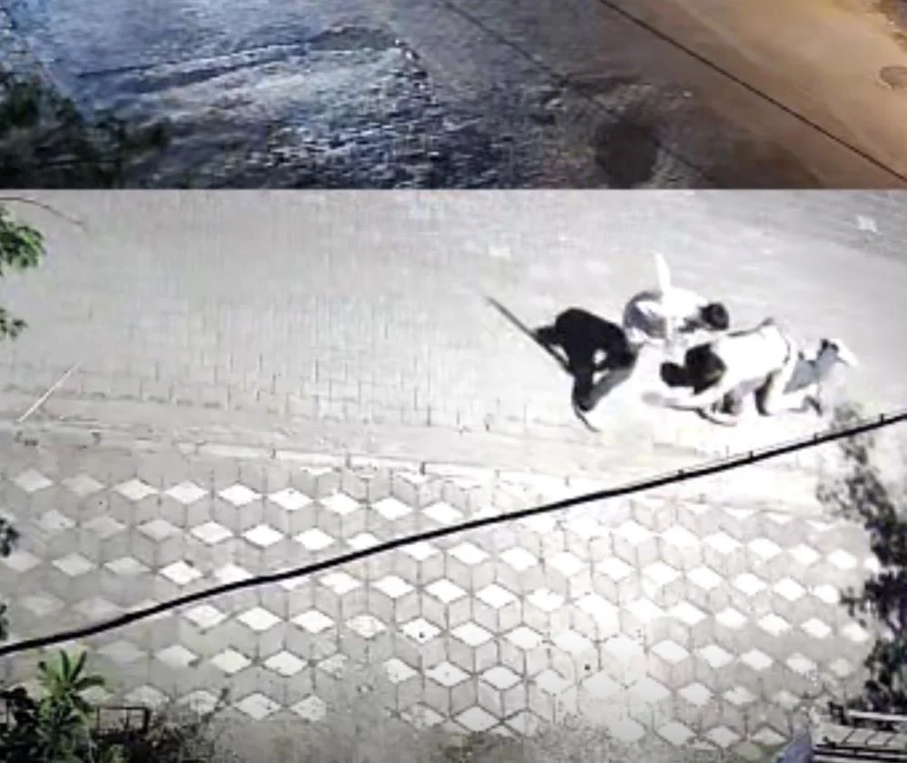 Kız meselesi kanlı bitti!