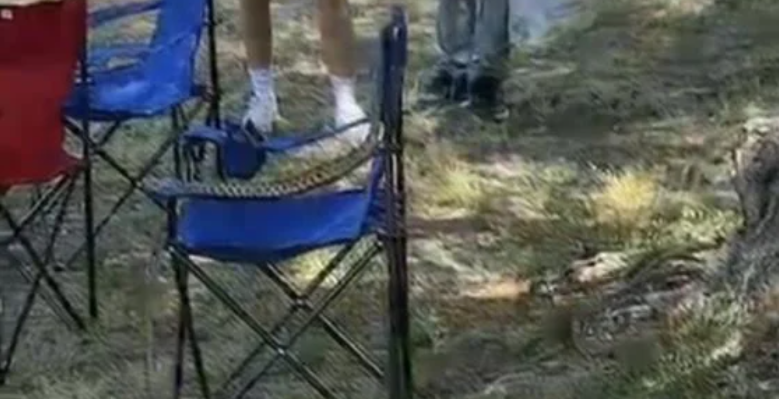 Dev yılan ekipleri harekete geçirdi