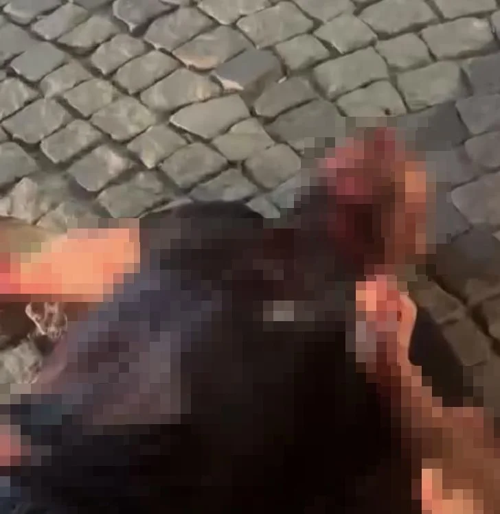 Akrabasının boğazını kesip kahvehanenin önüne attı! Sözleri kan dondurdu
