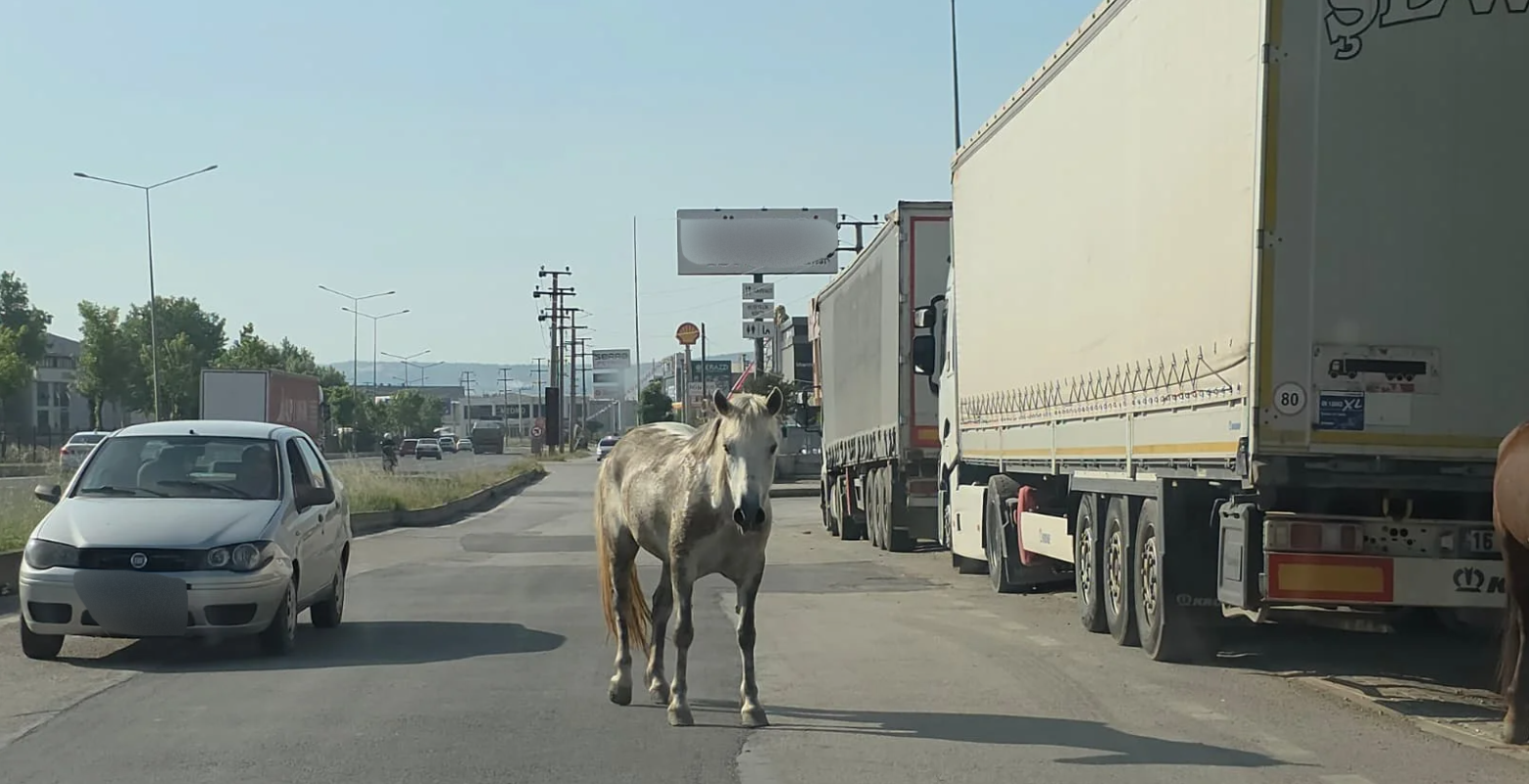 İnegöl'de trafiğe girdiler, ortalık karıştı