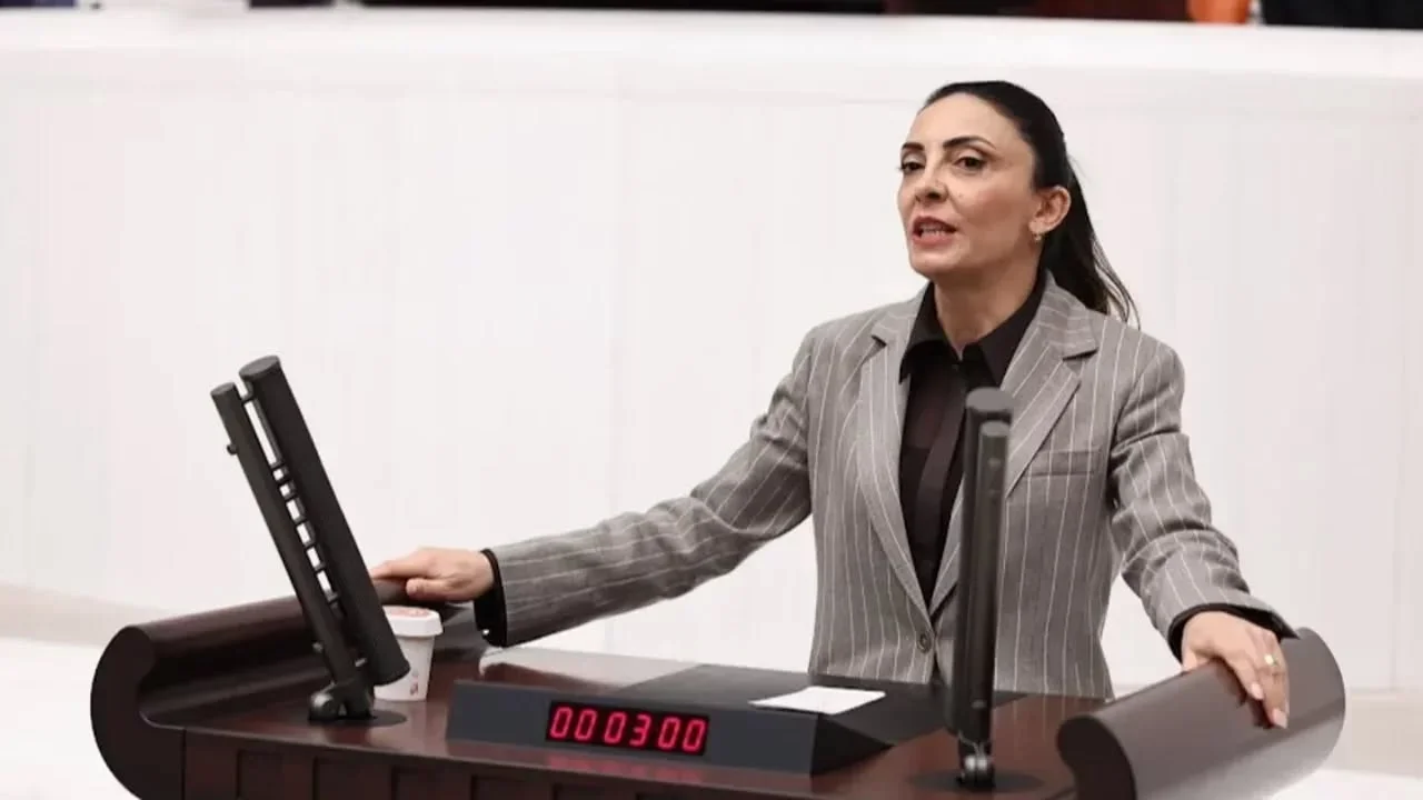 Disipline sevk edilen CHP’li Nurhayat Altaca Kayışoğlu Meclis’te konuştu