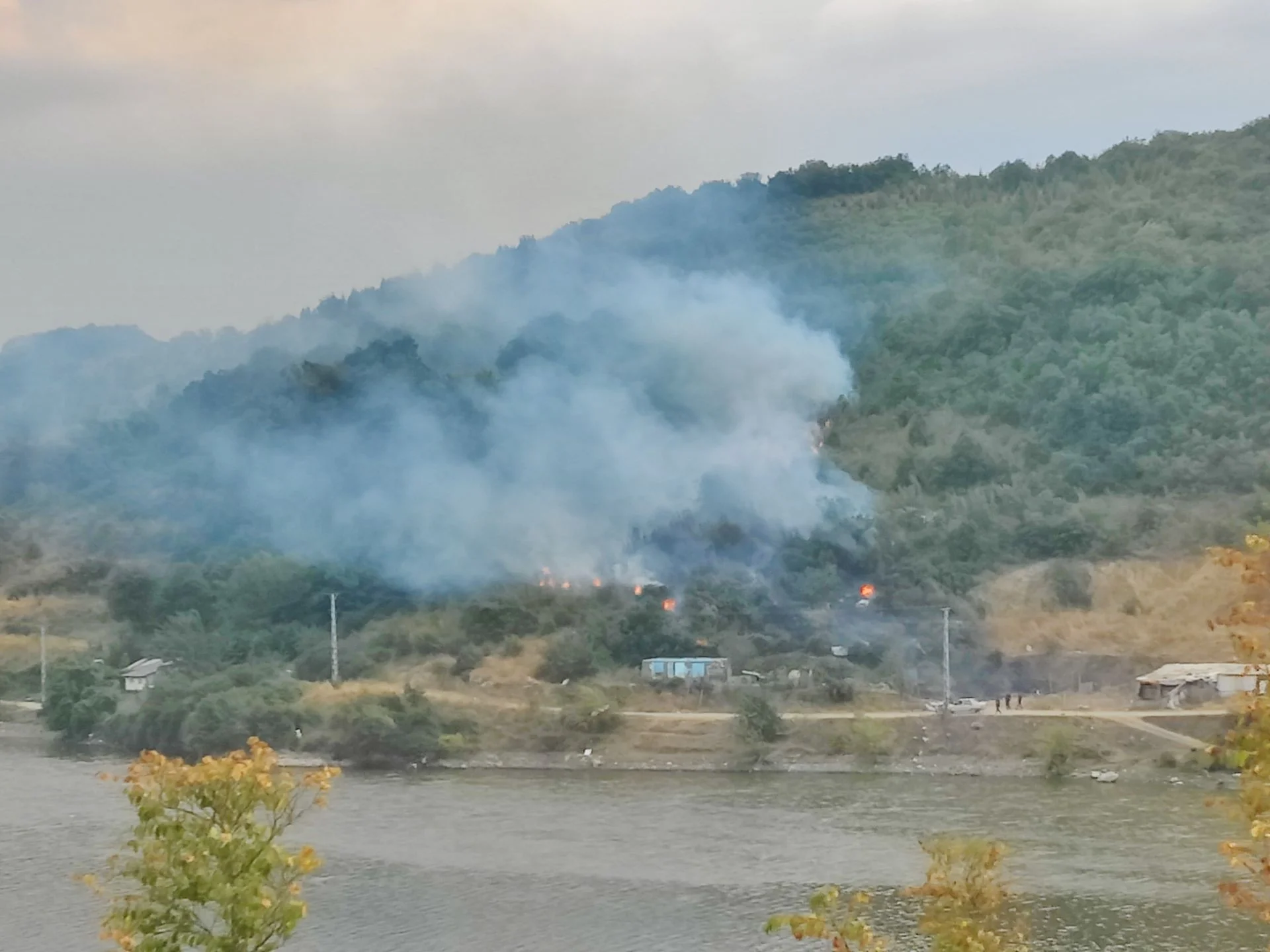 İnegöl’de Alevler Yükseldi! Ormanlık Alanda Yangın Çıktı