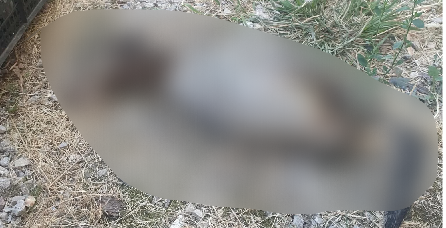 İnegöl’de Dehşete Düşüren Olay! Bahçede Bulundu