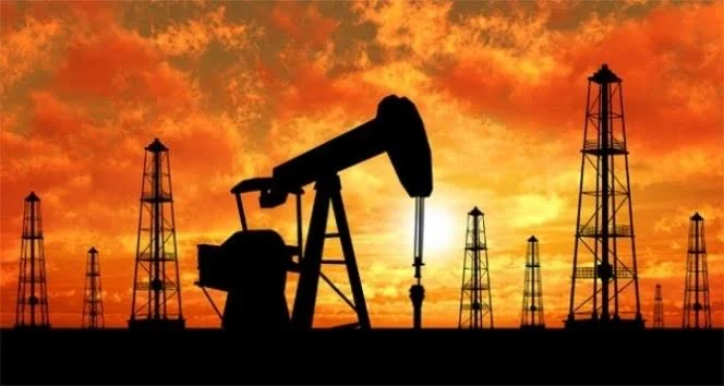 Bir ilimizde daha petrol bulundu!